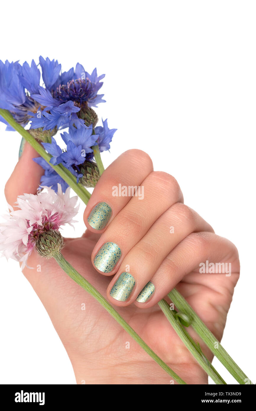 La main féminine avec green nail design holding fleurs bleues sur fond blanc. Banque D'Images