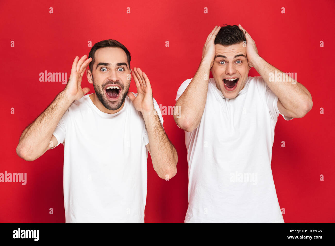 Image de deux barbus amis 30s en blanc T-shirts crier et demande à l'appareil alors que l'article sur fond rouge isolé Banque D'Images