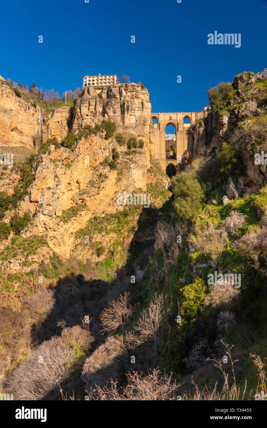 Espagne, Andalousie, province de Malaga, Ronda, Puente Nuevo et Canyon del Tajo, El Tajo Banque D'Images