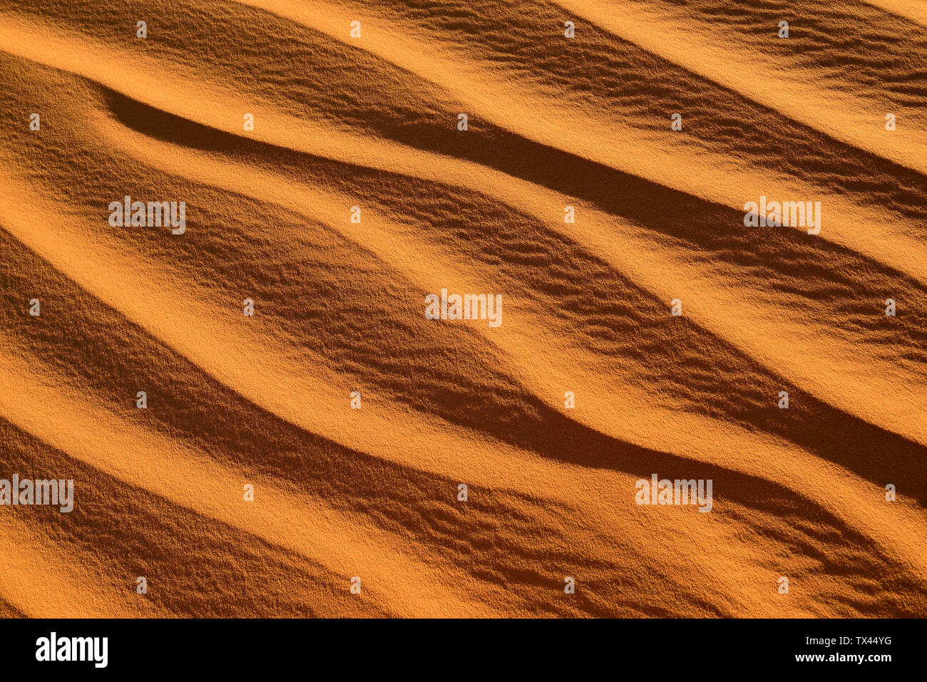 L'Afrique, Algérie, Sahara, marques d'ondulation, de texture sur un sanddune Banque D'Images