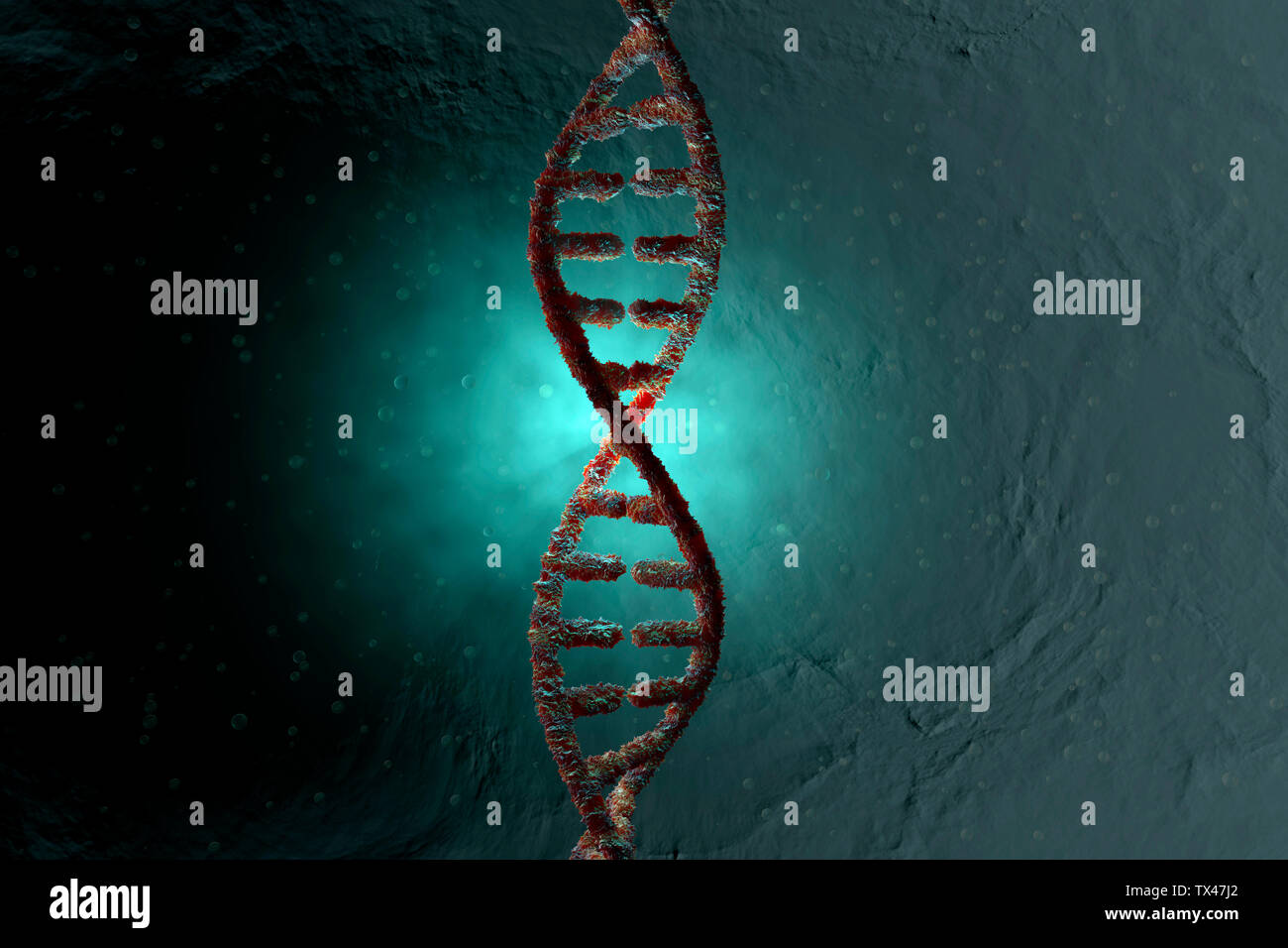 Illustration en rendu 3D, la visualisation d'une double hélice d'ADN Banque D'Images