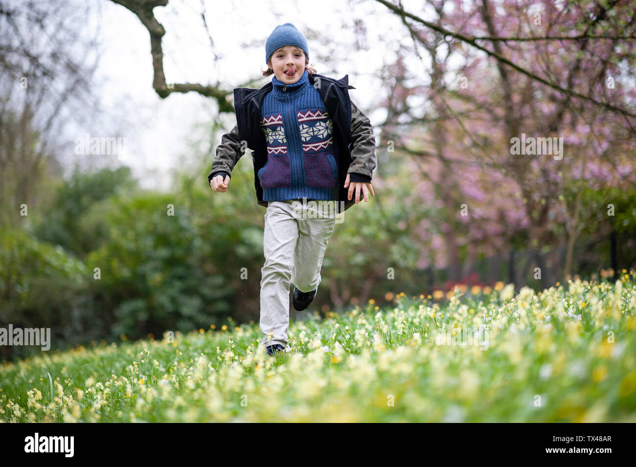 Portrait of boy running on flower meadow sticking out tongue Banque D'Images