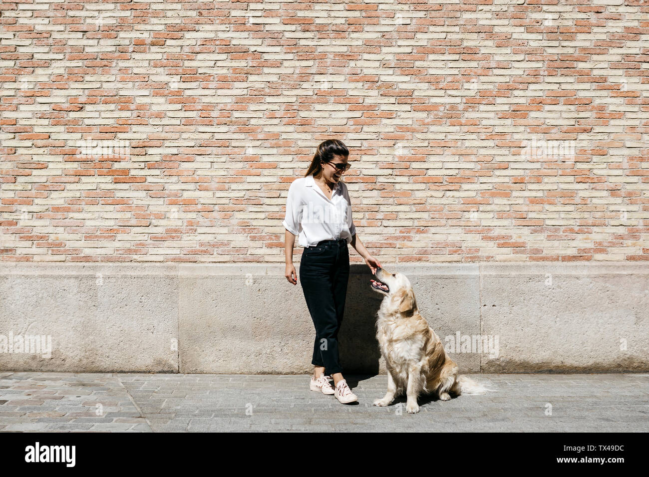 Happy woman caressant son Labrador Retriever en face du mur de brique à motifs Banque D'Images
