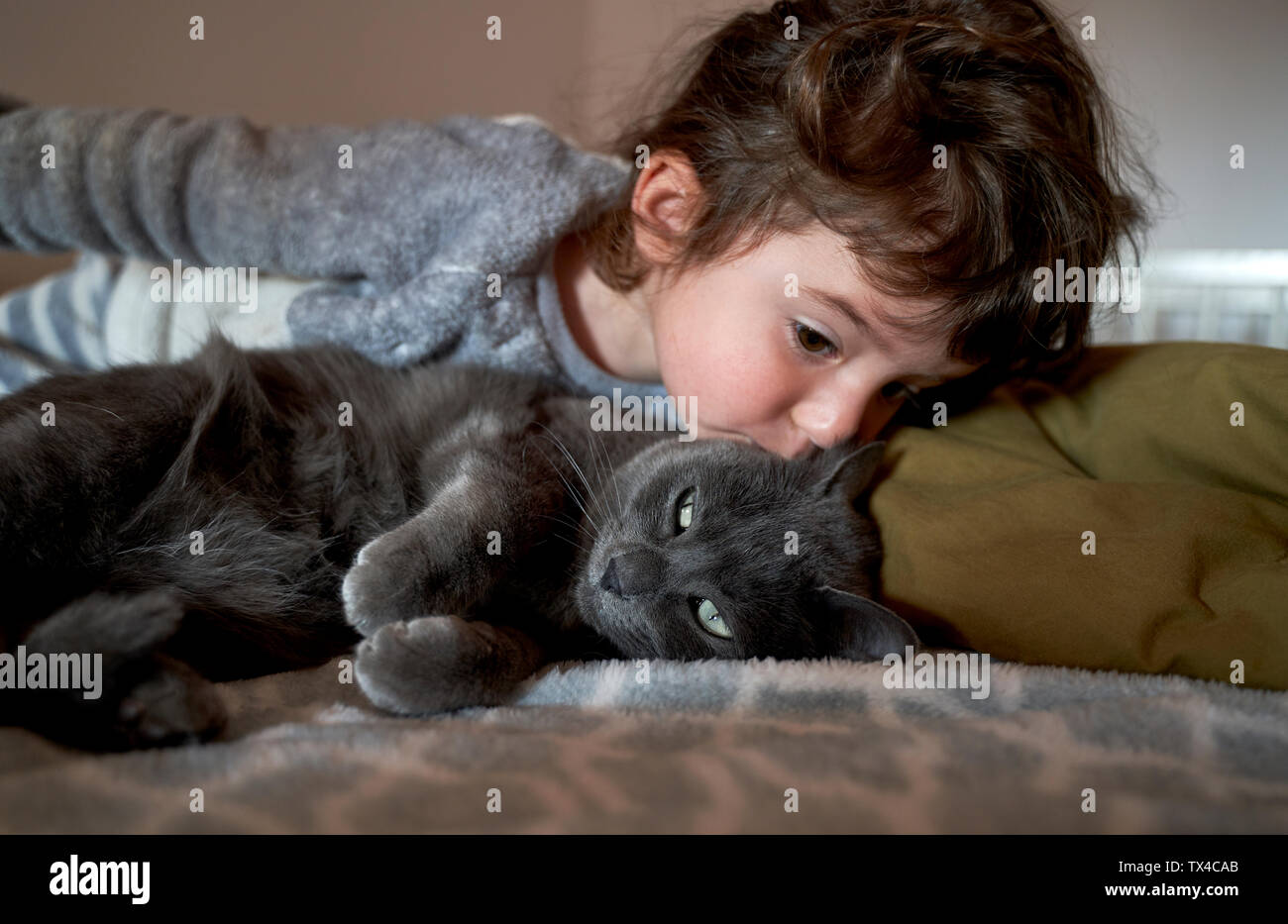 Girl kissing gray cat lying on bed Banque D'Images
