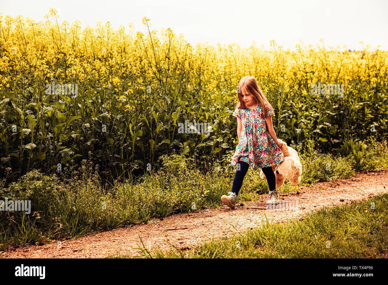 Fille de marcher seul avec teddy et son sac à dos sur un chemin de champ Banque D'Images