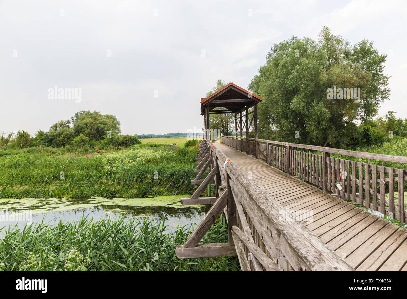 L'Autriche, Burgenland, Seewinkel, pont de, une partie de la communauté de la frontière entre l'Autriche et la Hongrie Banque D'Images