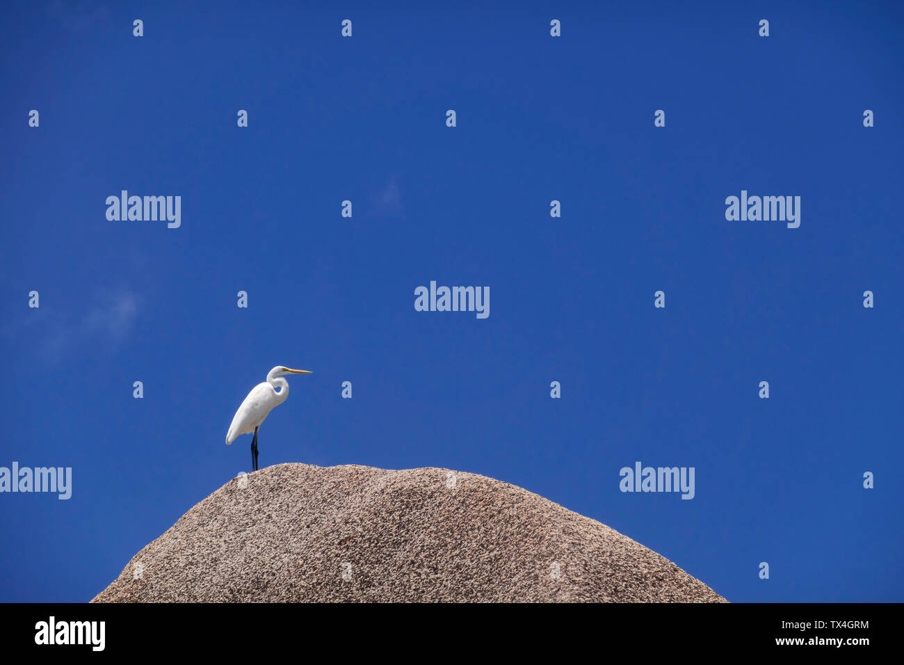 Seychelles, La Digue, Anse Source d'argent, debout sur heron hill Banque D'Images