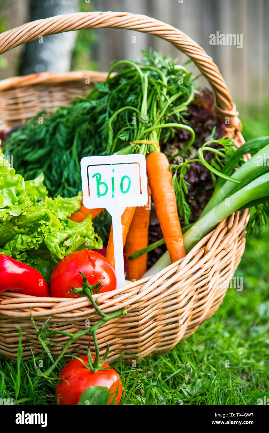 Les légumes frais biologiques dans panier en osier avec label bio, saine  alimentation biologique naturelle , la culture de légumes Photo Stock -  Alamy