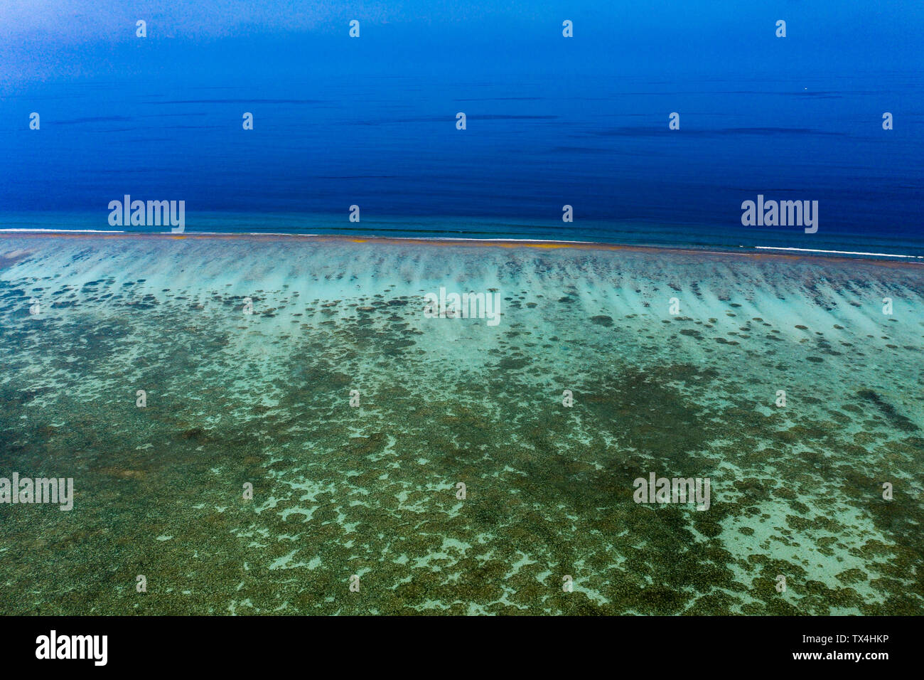 Les Maldives, South Male Atoll, vue aérienne d'un atoll de corail Banque D'Images