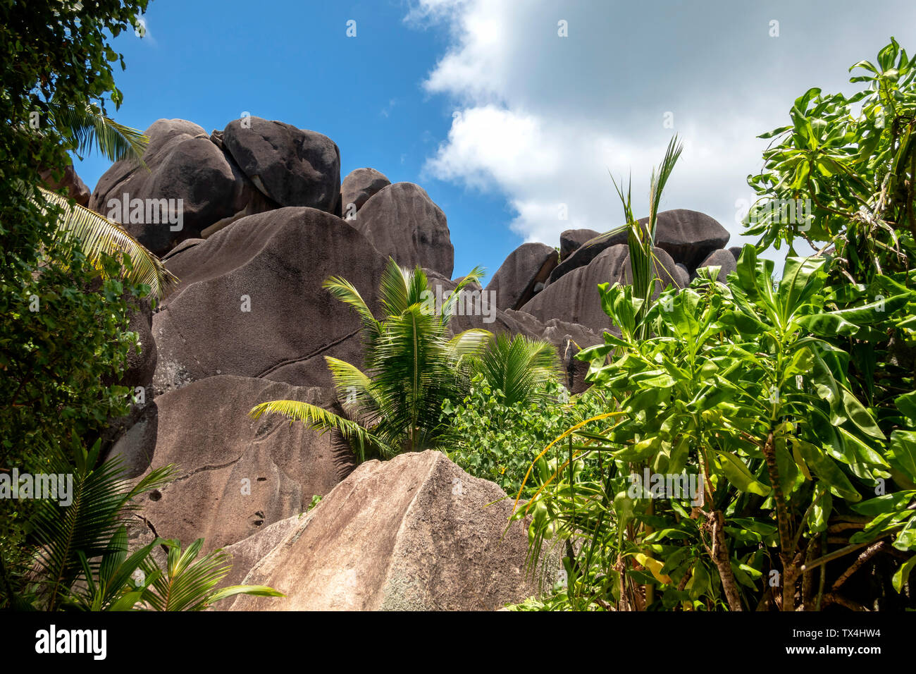 Seychelles, La Digue, Anse Source d'argent, rochers de granit Banque D'Images