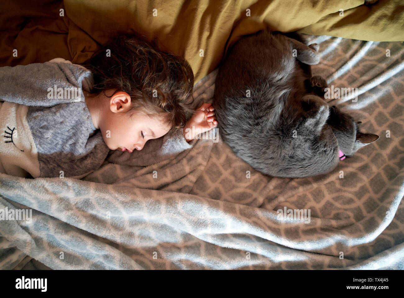 Bébé fille et chat gris couché sur lit, vue d'en haut Banque D'Images