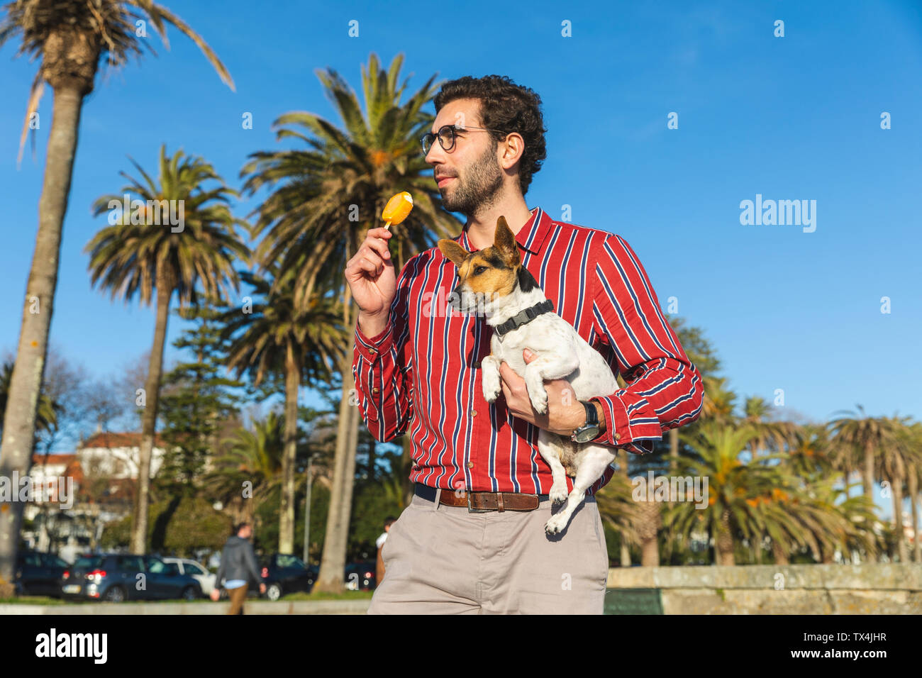 Jeune homme avec chien sur son bras eating ice lolly Banque D'Images