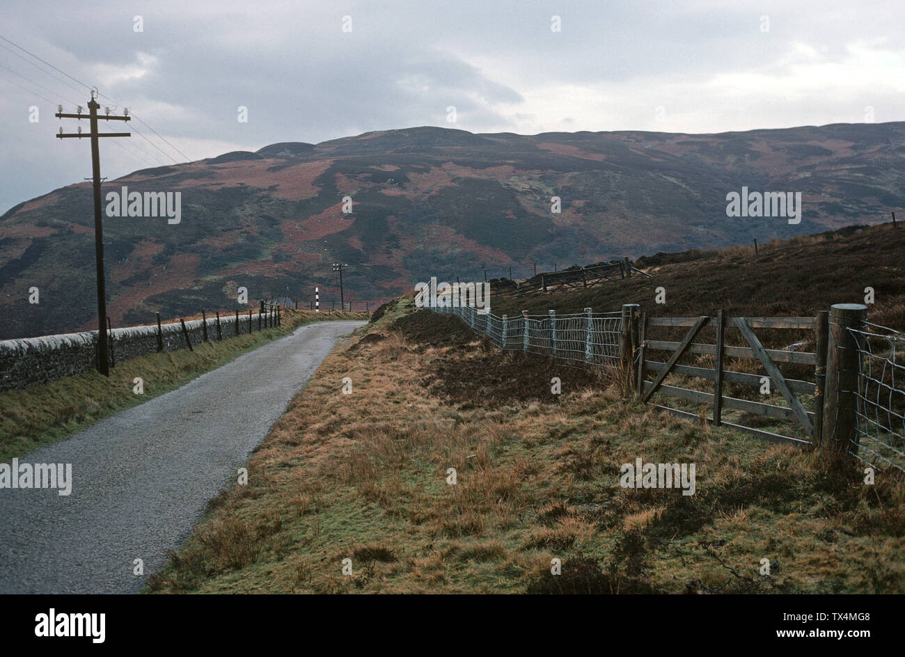 Mull of Kintyre, péninsule de Kintyre, Argyll et Bute, sud-ouest de l'Écosse. Mull of Kintyre rendu célèbre par la chanson à succès 1977 ' Mull of Kintyre' par résident de Kintyre, Paul McCartney et son groupe Wings. Banque D'Images