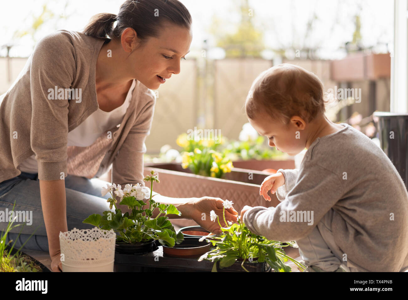 Mère et fille, planter des fleurs ensemble sur balcon Banque D'Images