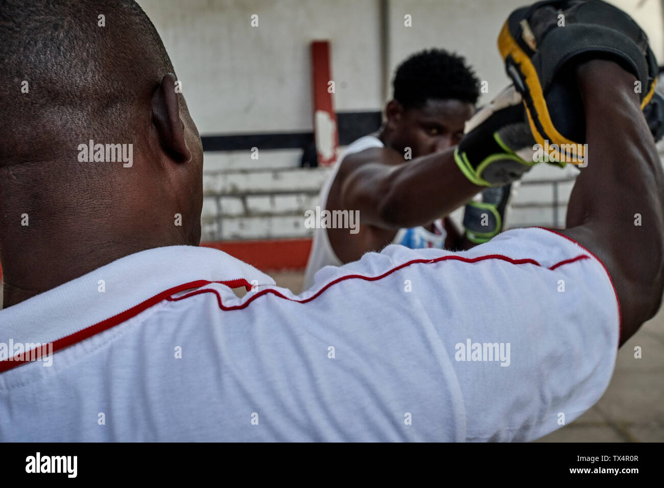 Formation boxer avec l'entraîneur Banque D'Images