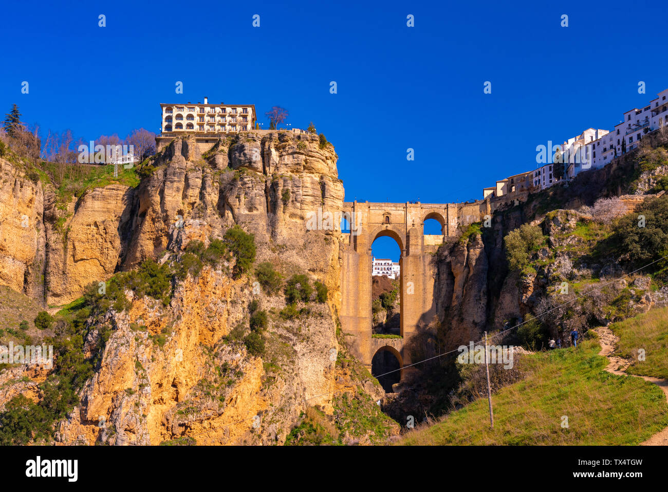Espagne, Andalousie, province de Malaga, Ronda, Puente Nuevo et Canyon del Tajo, El Tajo Banque D'Images