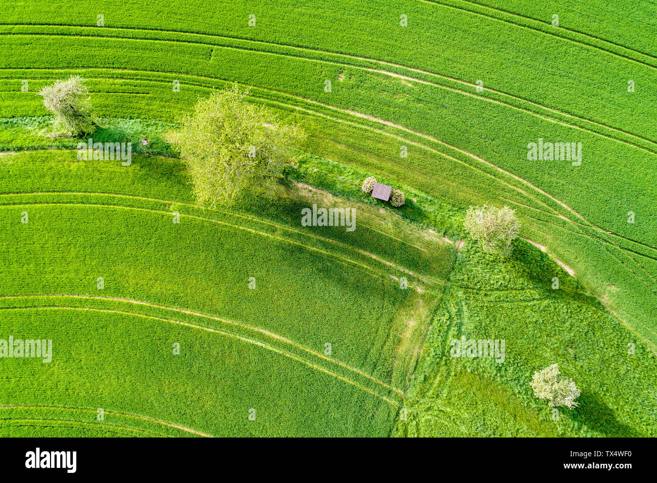 Allemagne, Bade-Wurtemberg, Rems-Murr-Kreis, vue aérienne du domaine vert au printemps Banque D'Images