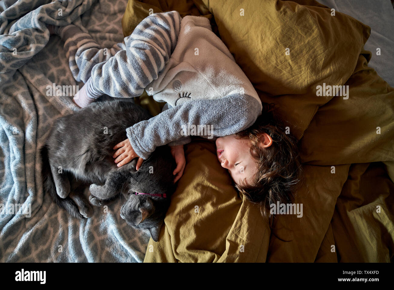 Bébé fille et chat gris couché sur lit, vue d'en haut Banque D'Images
