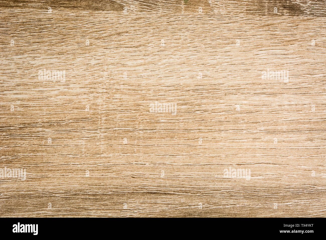La texture du bois vide. Fond de bois Banque D'Images