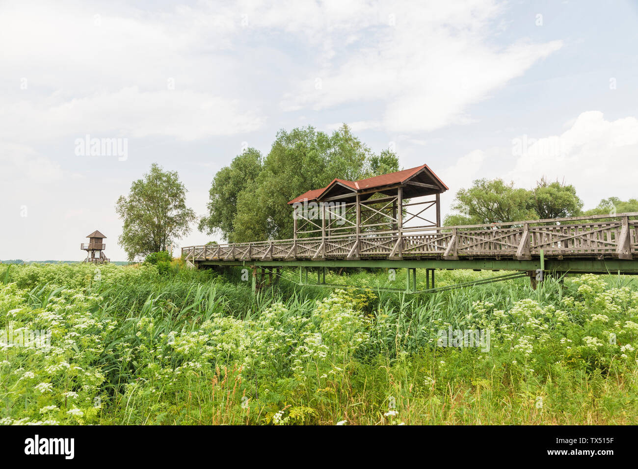 L'Autriche, Burgenland, Seewinkel, pont de, une partie de la communauté de la frontière entre l'Autriche et la Hongrie Banque D'Images