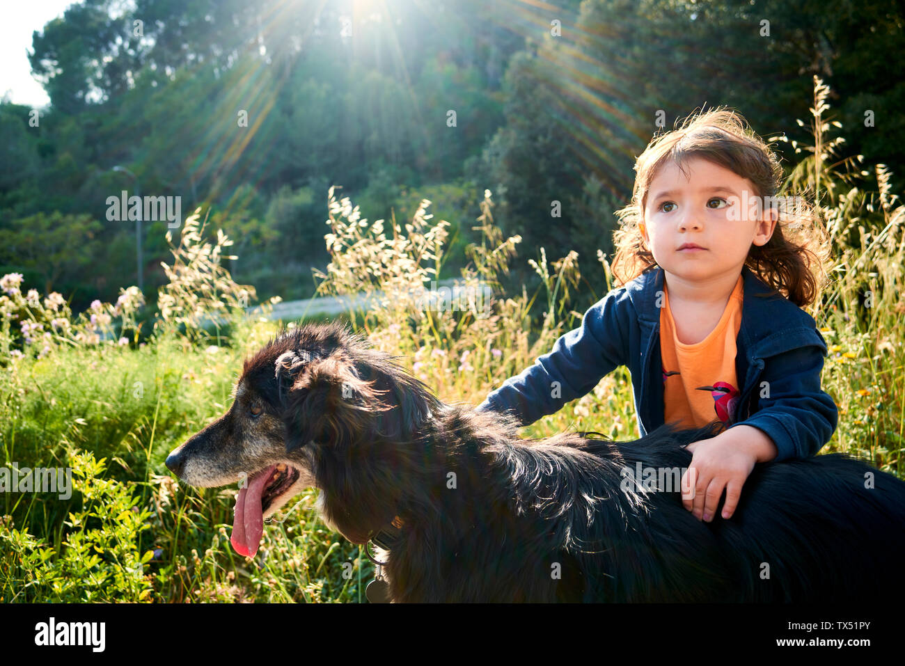 Portrait de bébé fille caressant chien Banque D'Images