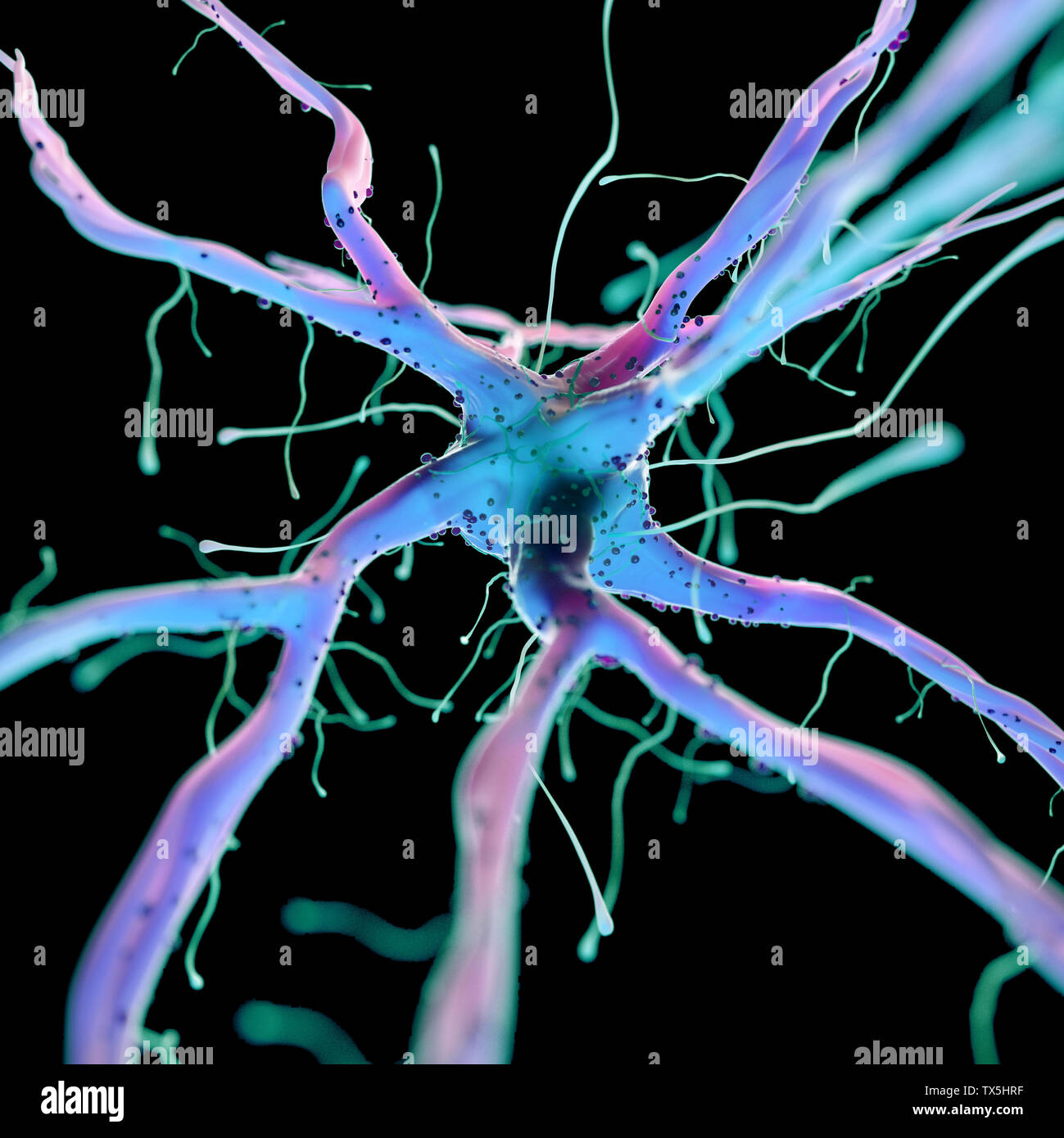 Médicalement, rendu 3d illustration précise d'une cellule nerveuse Banque D'Images