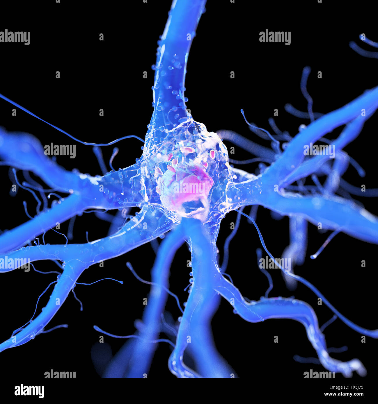 Médicalement, rendu 3d illustration précise d'une cellule nerveuse Banque D'Images