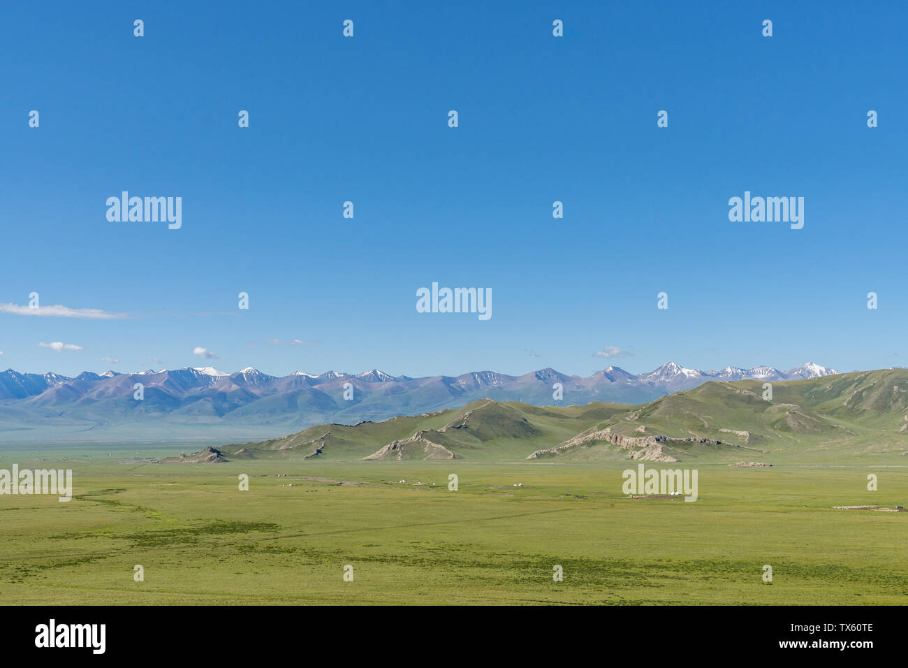Les prairies alpines le long de la G217 Duku sous l'autoroute l'été, ciel bleu et nuages blancs dans le Xinjiang, Chine Banque D'Images