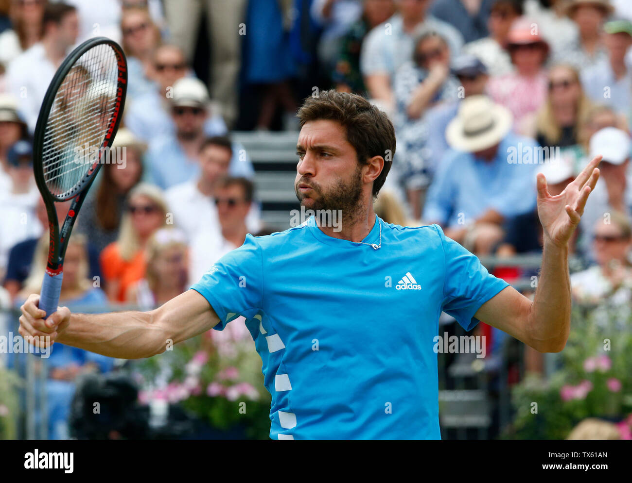 Londres, Royaume-Uni. 23 Juin, 2019. Londres, Angleterre - le 23 juin : Gilles Simon (FRA) contre Feliciano Lopez (ESP) au cours de la dernière journée 7 championnats Fever-Tree à Queens Club le 23 juin 2019 à Londres, Royaume-Uni. Action Crédit : Foto Sport/Alamy Live News Banque D'Images