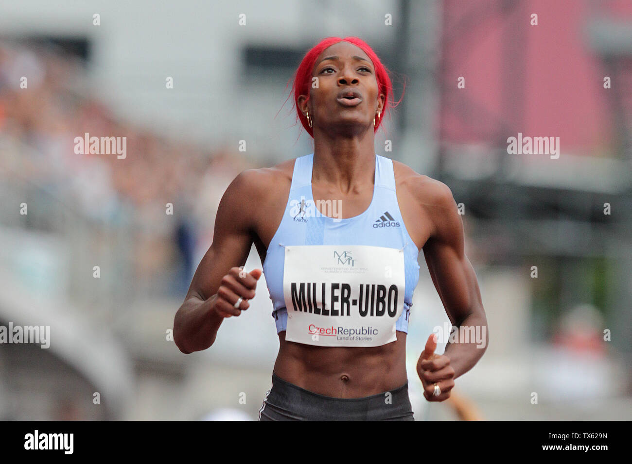 site de rencontre course a pied