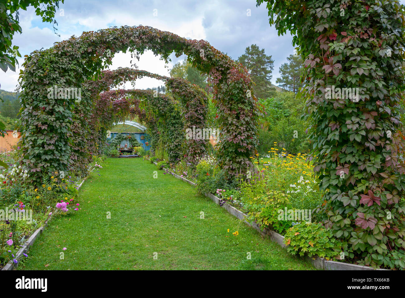 Arches décoratives dans le magnifique jardin à la fin de l'automne Banque D'Images