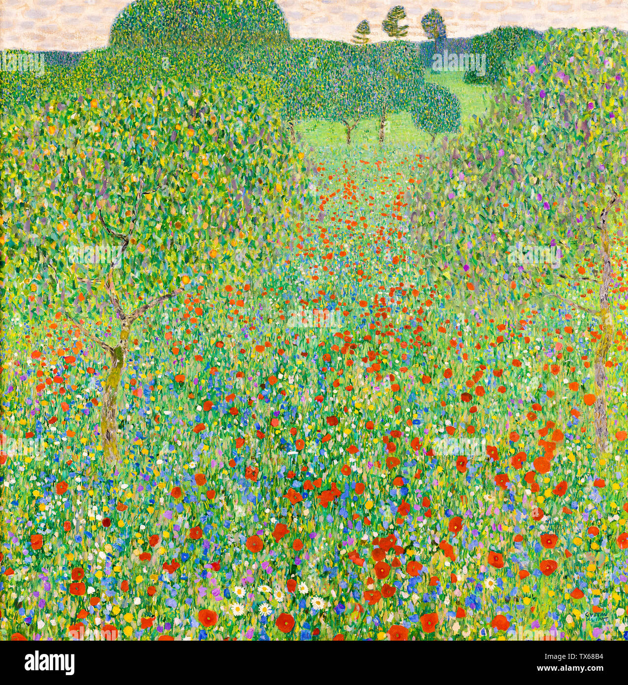 Gustav Klimt, Blühender Mohn, (fleurs de pavot), la peinture de paysage, 1907 Banque D'Images