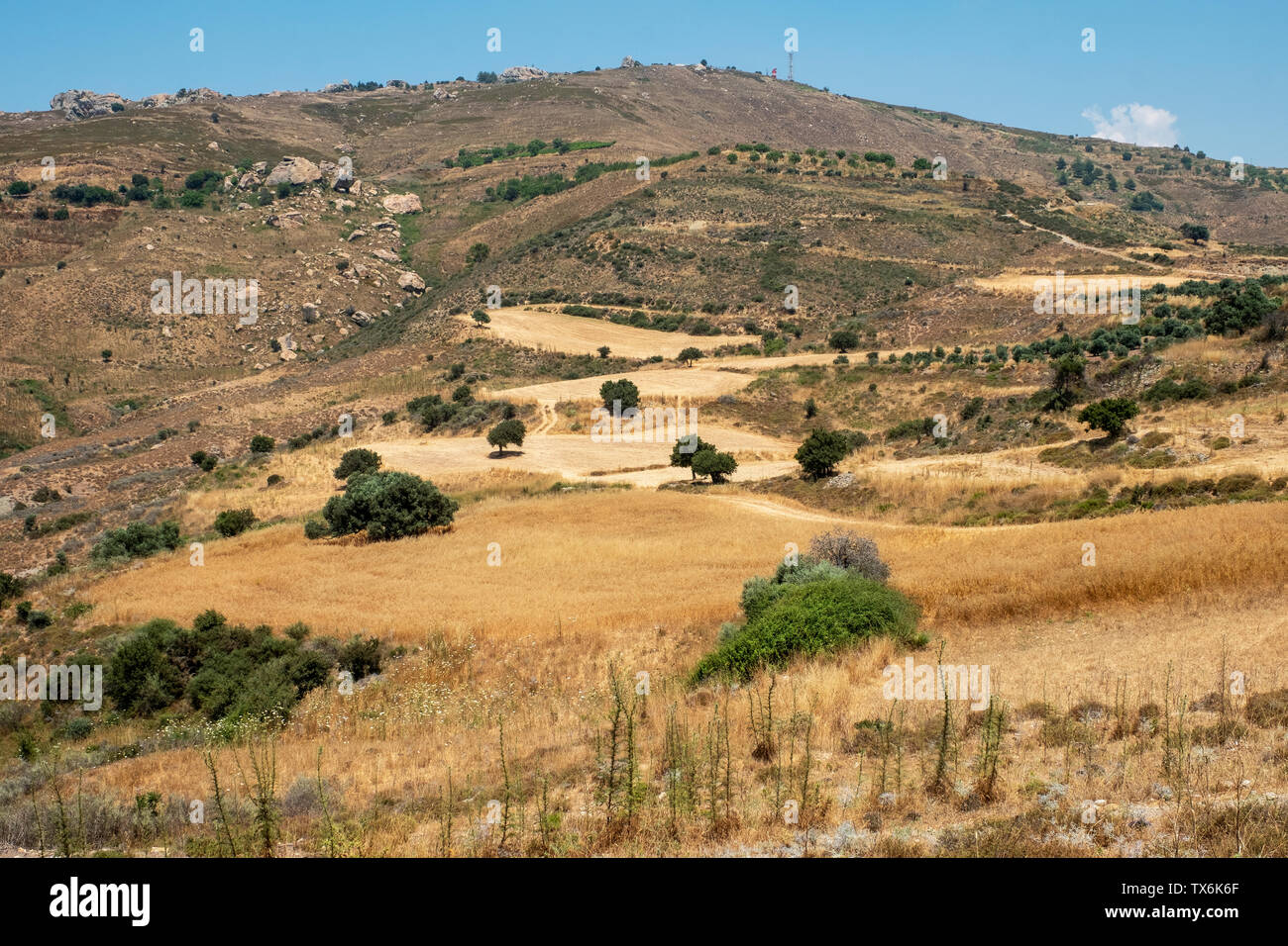 Terres agricoles sur la péninsule d'Akamas, Région de Pafos, Chypre. Banque D'Images