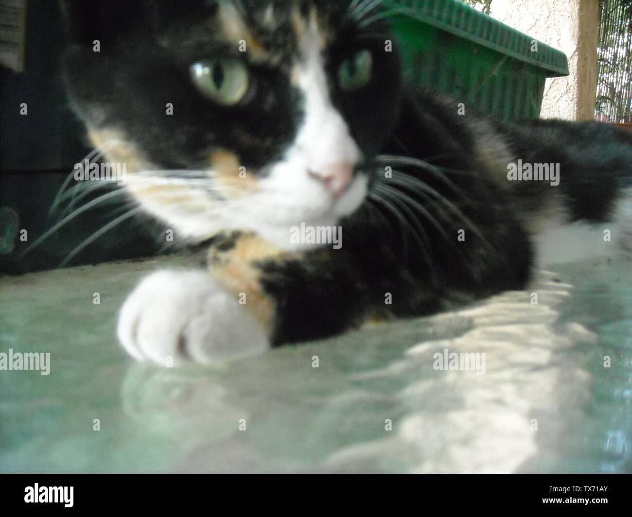 Goddess Of Death Banque D Image Et Photos Alamy Goddess Of Death Banque D Image Et Photos Alamy