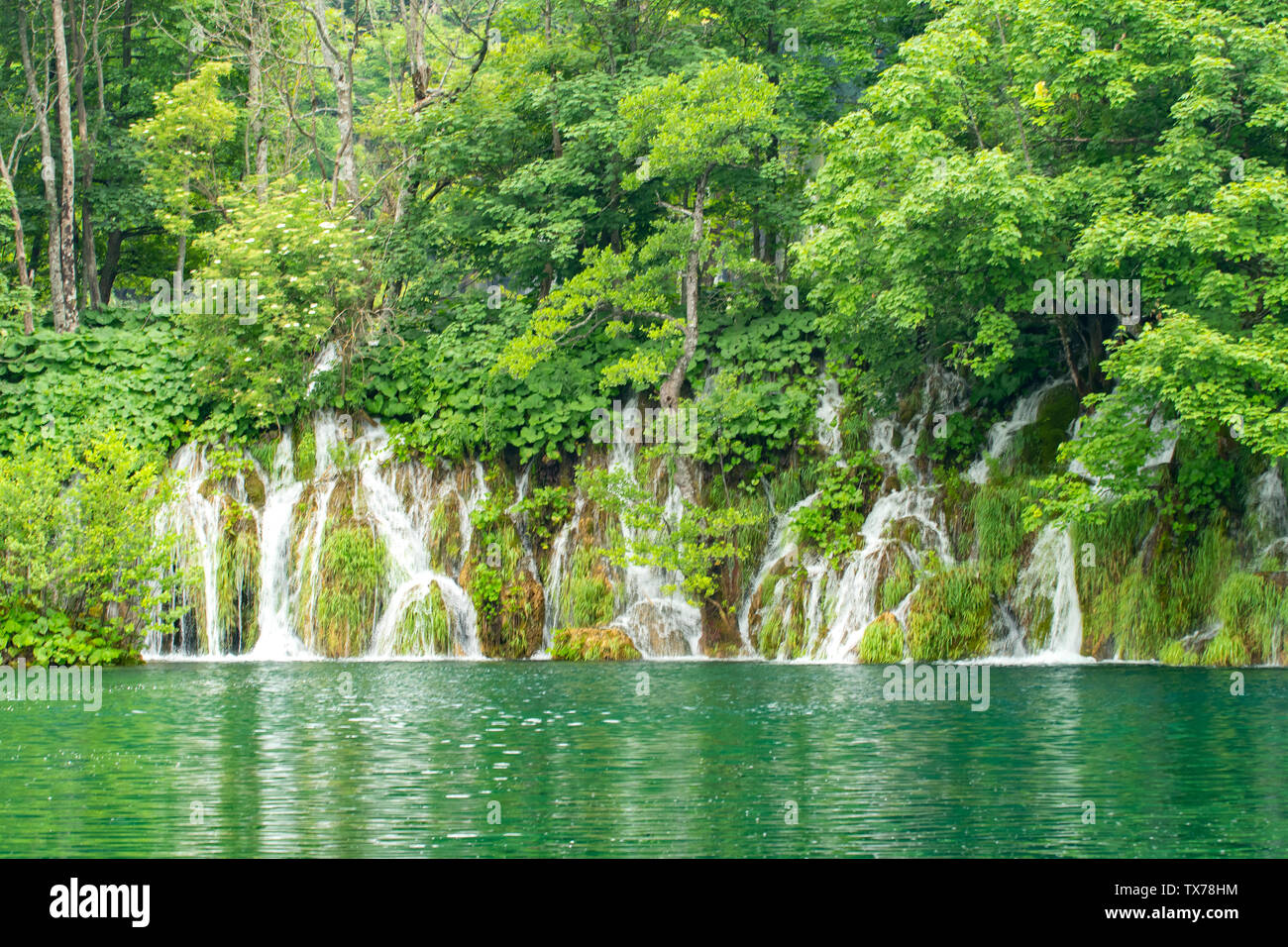 Cascades de Malo jezero, le parc national des Lacs de Plitvice, Croatie Banque D'Images