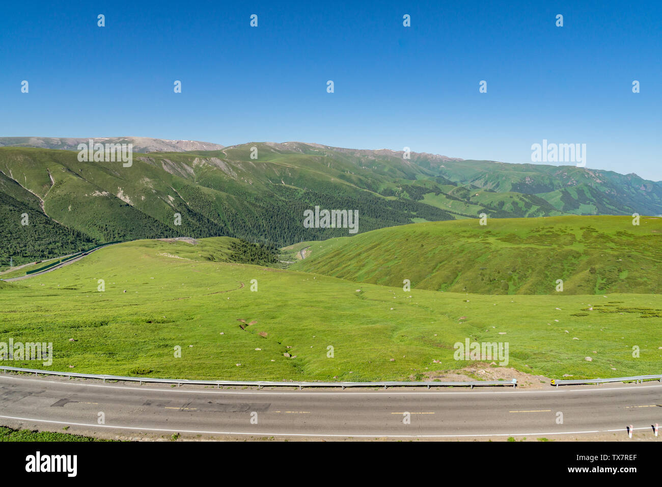 Les prairies alpines le long de la G217 Duku sous l'autoroute l'été, ciel bleu et nuages blancs dans le Xinjiang, Chine Banque D'Images