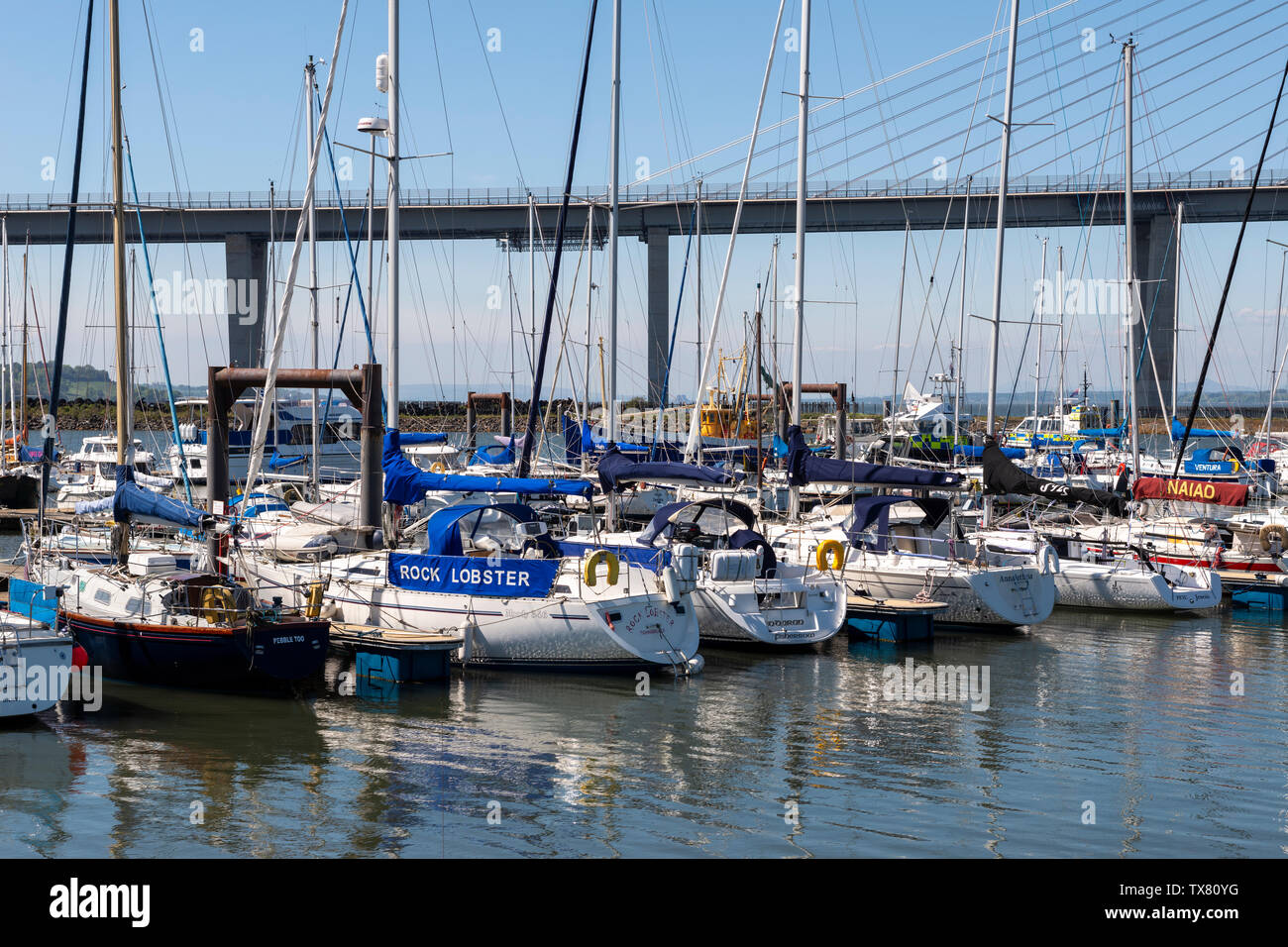 Edgar Port Marina, avec passage de Queensferry Road Bridge en arrière-plan, Queensferry, Ecosse, Royaume-Uni Banque D'Images