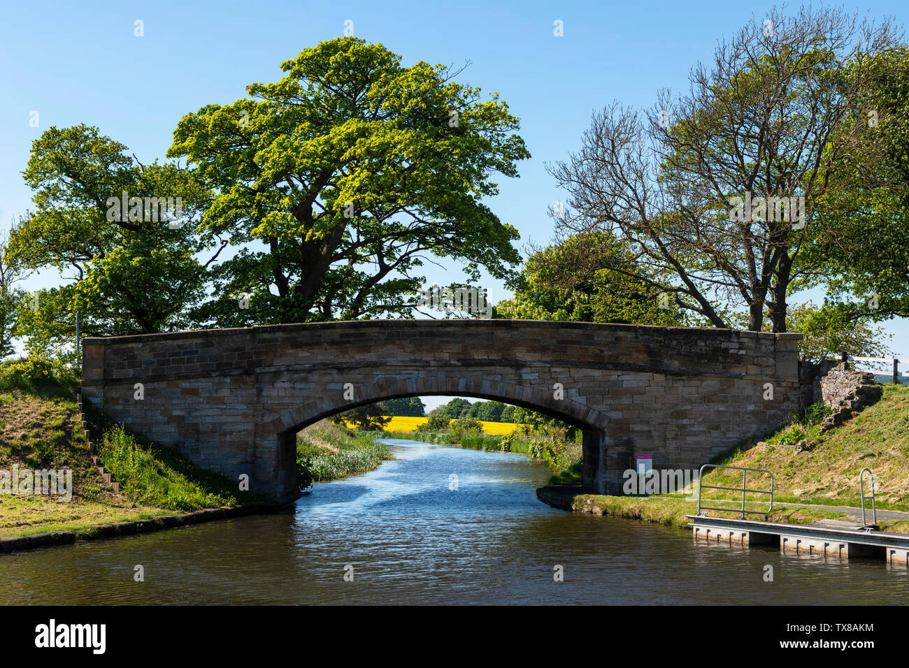 41 Pont et d'amarrage ponton sur l'Union Canal près de Linlithgow, West Lothian en Écosse, Royaume-Uni Banque D'Images