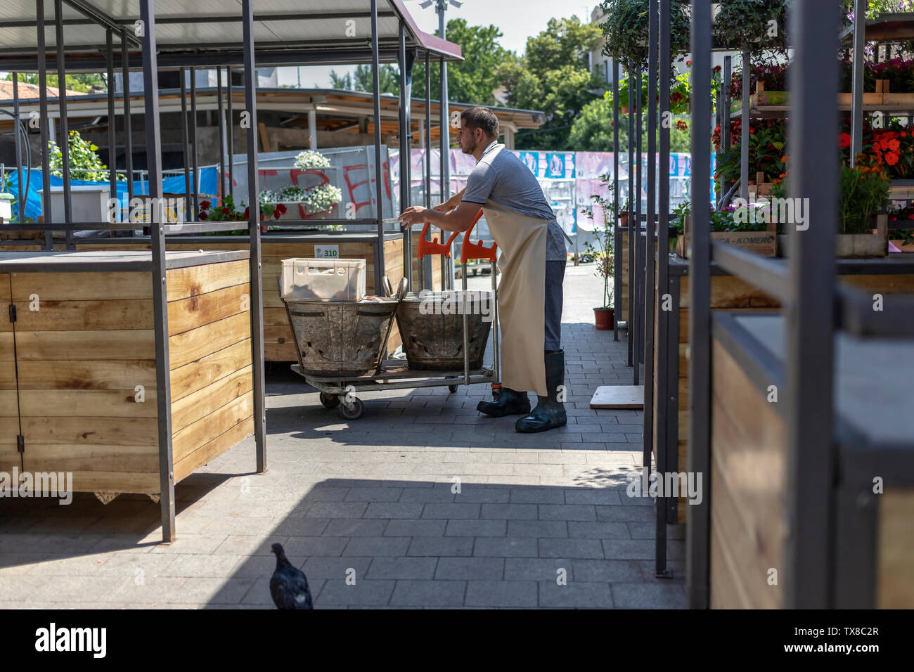 Belgrade, Serbie, 22 juin 2019 : panier avec des conteneurs remplis de poisson au marché vert Zemun Banque D'Images