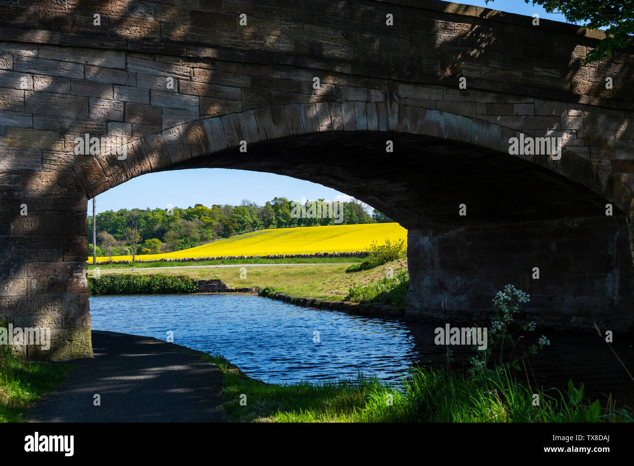 Pont Canal chemin menant à 41 sur l'Union Canal près de Linlithgow, West Lothian en Écosse, Royaume-Uni Banque D'Images