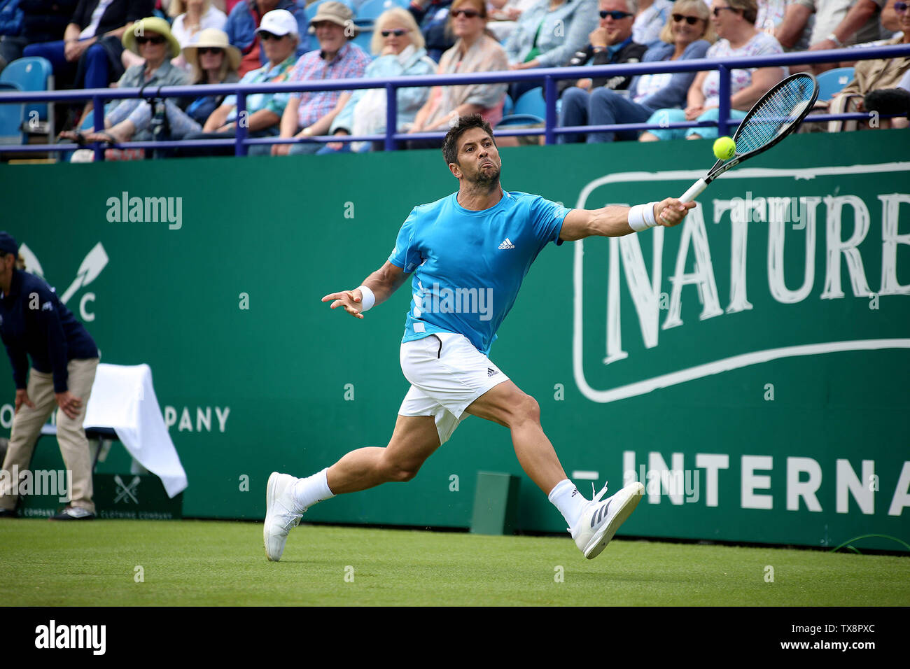 Eastbourne, Royaume-Uni. 24 Juin, 2019. Fernando Verdasco de l'Espagne pendant son match contre mens John Millman de l'Australie au Nature Valley International Eastbourne 2019, événement international de tennis du Devonshire Park, à Eastbourne le lundi 24 juin 2019. veuillez noter un usage éditorial uniquement. Photos par Tom Smeeth/Andrew Orchard la photographie de sport./Alamy Live News Crédit : Andrew Orchard la photographie de sport/Alamy Live News Banque D'Images