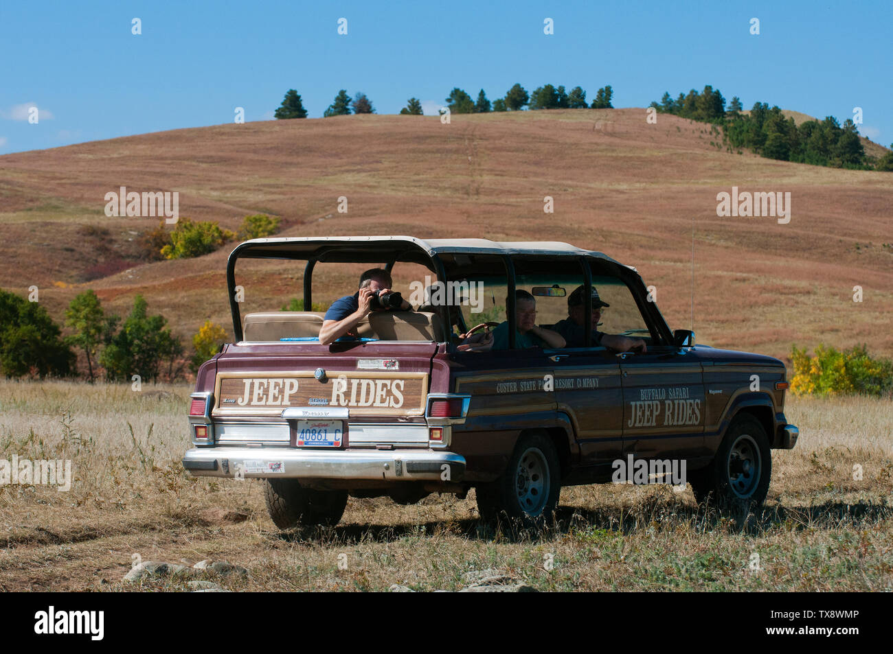 Les touristes photographier les animaux au cours de safari tour Custer State Park, Black Hills, Dakota du Sud, USA Banque D'Images