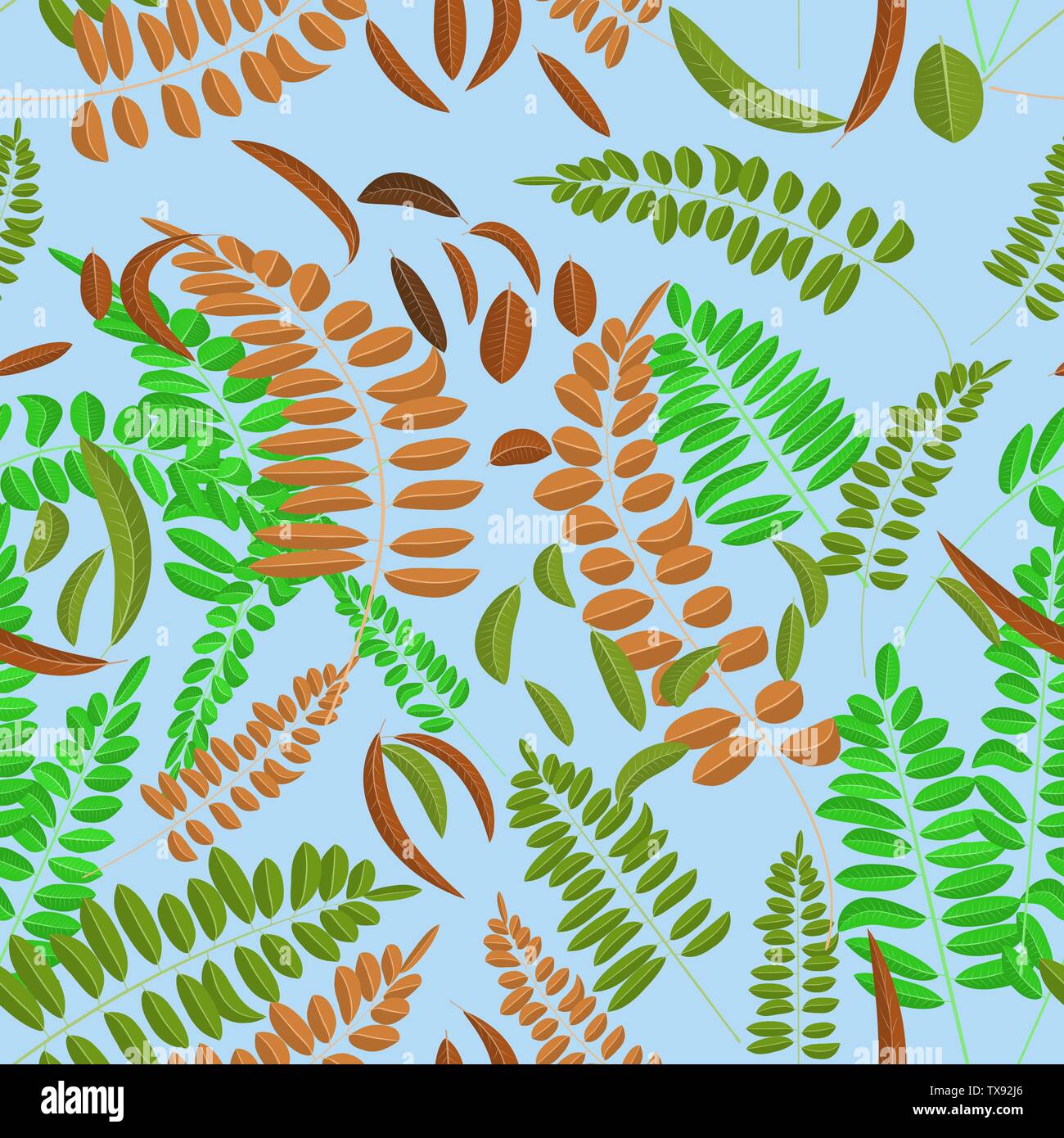 Modèle sans couture avec le vert et le brun des feuilles d'acacia sur fond bleu clair. Illustration vectorielle, automne, acacia, feuilles. Illustration de Vecteur