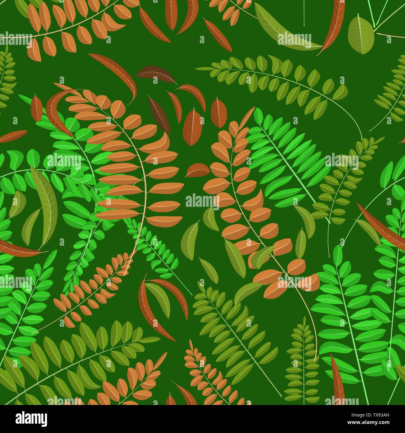 Avec motif transparent et vert feuille d'acacia gingembre darc sur fond vert. Illustration vectorielle, automne, acacia, de feuilles et de l'intérieur décoration Illustration de Vecteur