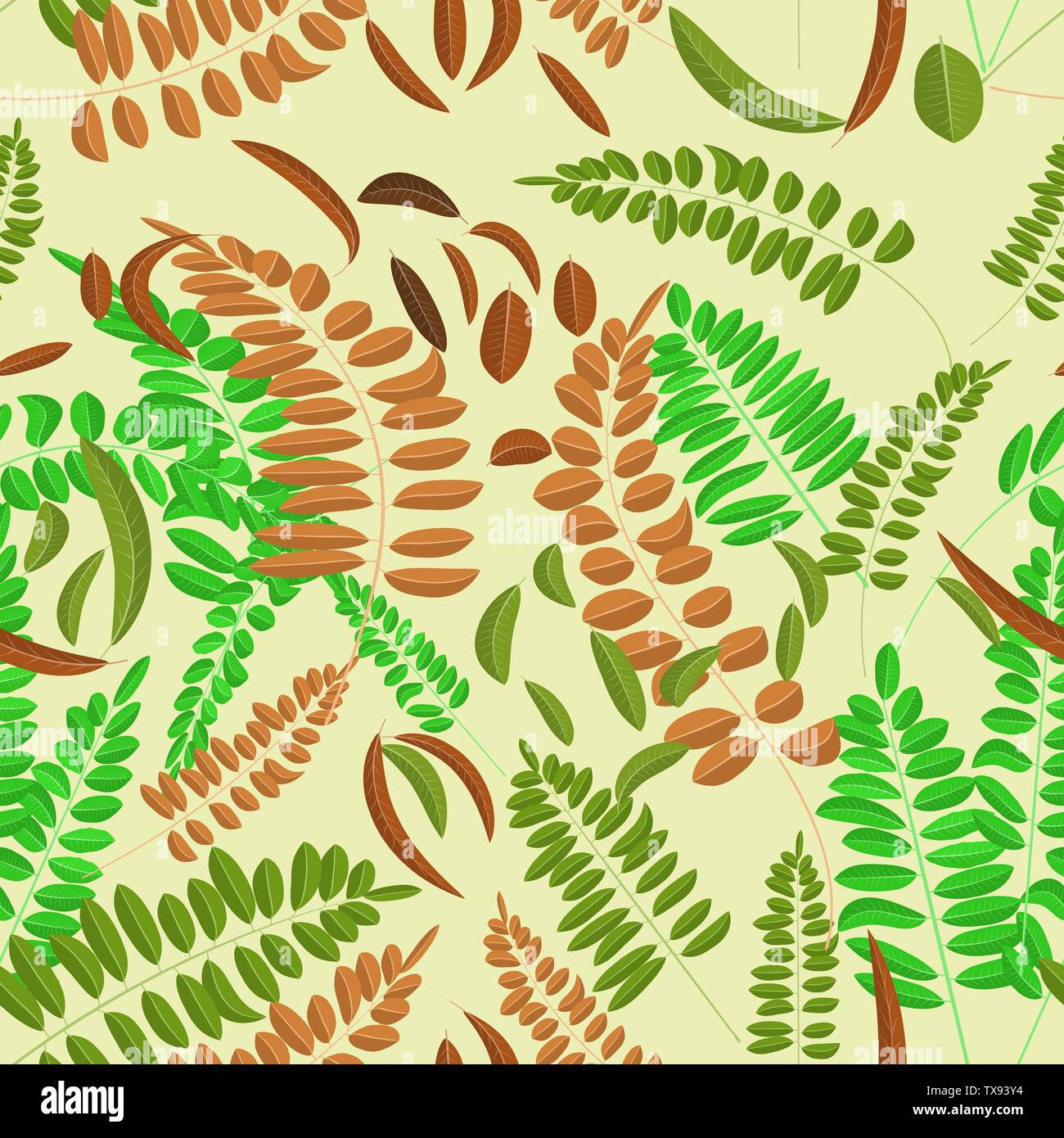 Avec motif transparent et vert feuille d'acacia gingembre sur fond violet. Illustration vectorielle, automne, acacia, de feuilles et de l'intérieur décoration Illustration de Vecteur