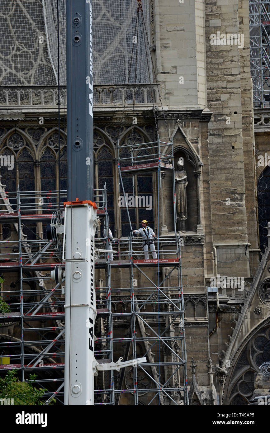 Paris, France. 24 juin 2019. Les travaux de restauration se poursuivent sur Notre Dame Cathédrale après l'incendie dévastateur en avril. Installer les travailleurs de la construction à côté de l'échafaudage structure massive. G.P. Essex/Alamy Live News Banque D'Images
