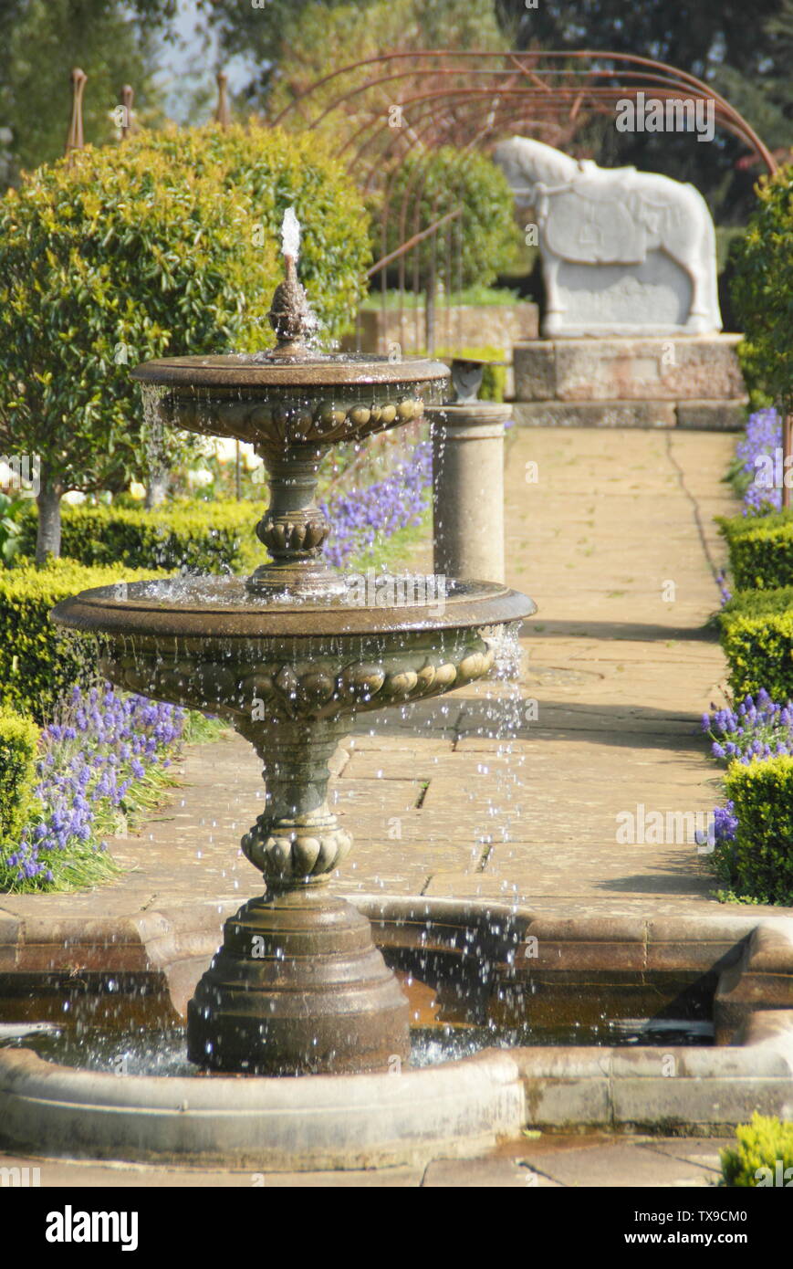 Buxus. Fort de la fontaine vu de couverture dans le jardin rose au Château de Belvoir, England, UK Banque D'Images