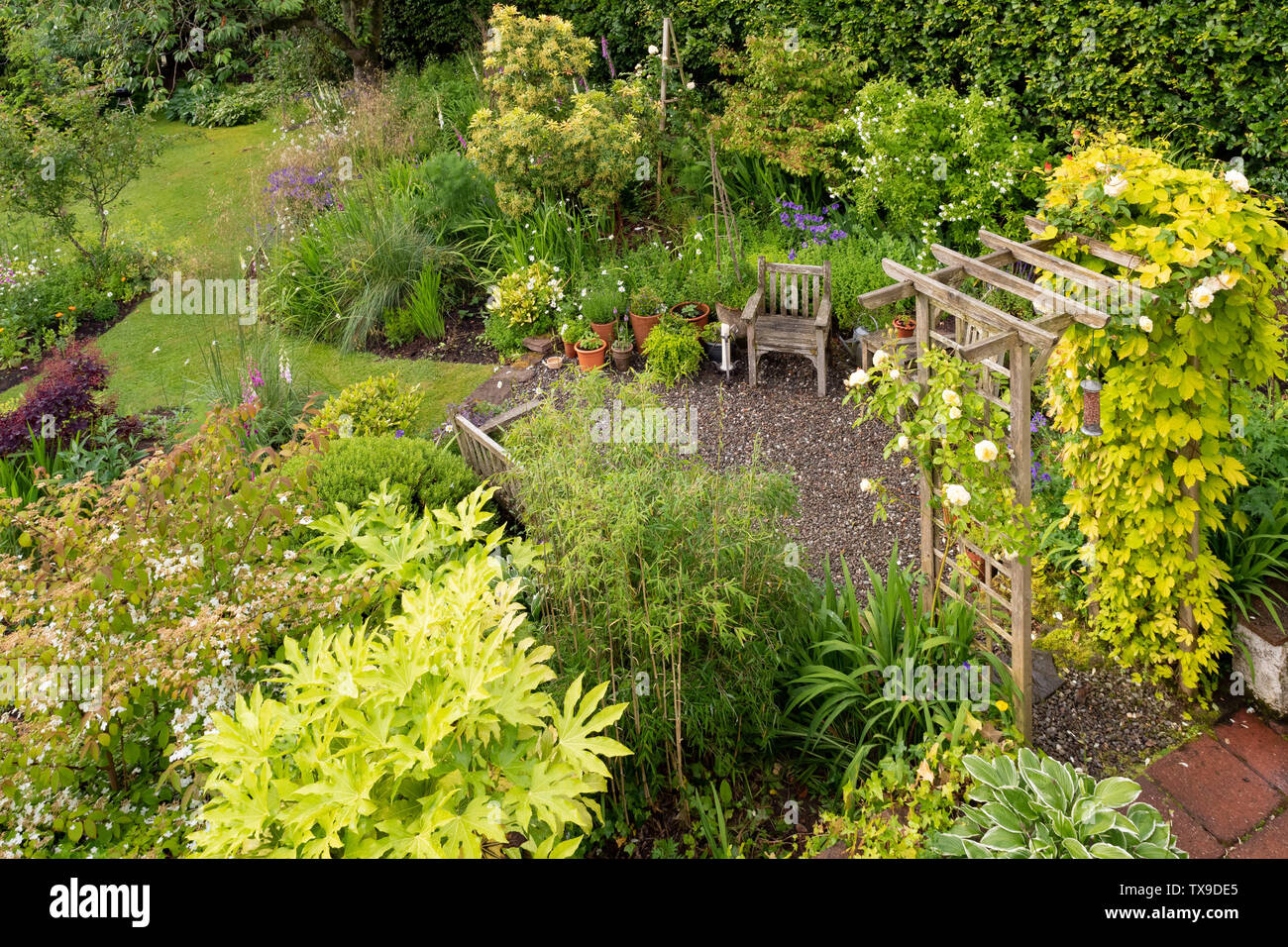 Jardin arrière au début de l'été vue depuis la fenêtre de la chambre à l'étage, avec coin salon et de galets arbour avec golden hop - Stirlingshire, Ecosse, Royaume-Uni Banque D'Images