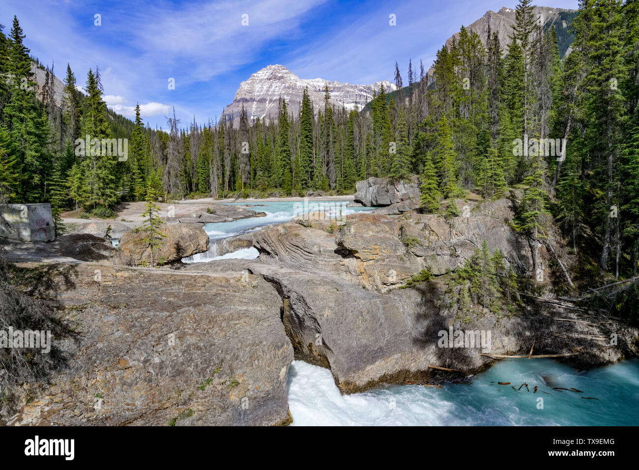 Pont naturel, la rivière Kicking Horse, parc national Yoho, Colombie-Britannique, Canada Banque D'Images