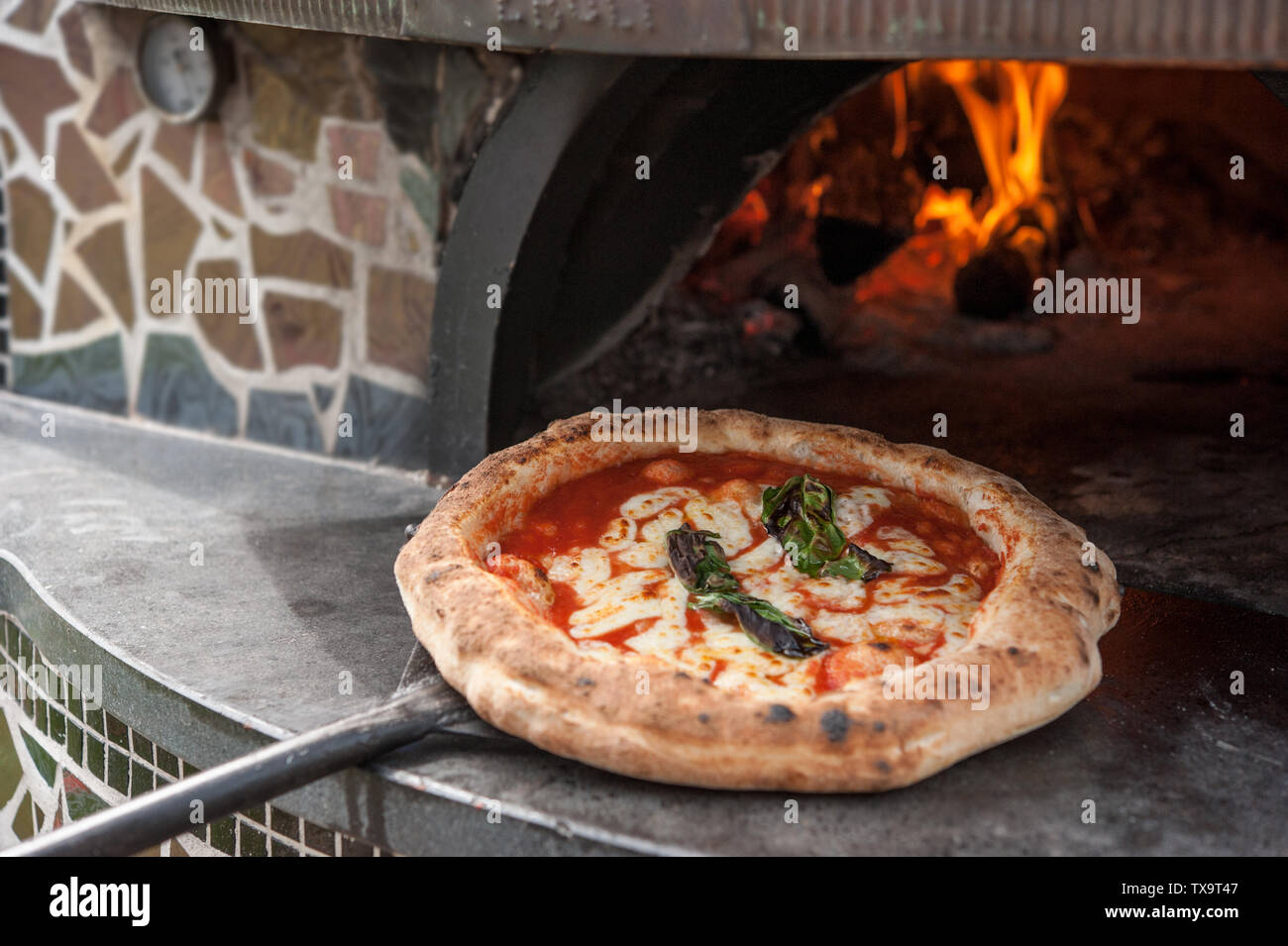 Naked Pizza Margherita sur le peel juste par le four à bois. Banque D'Images